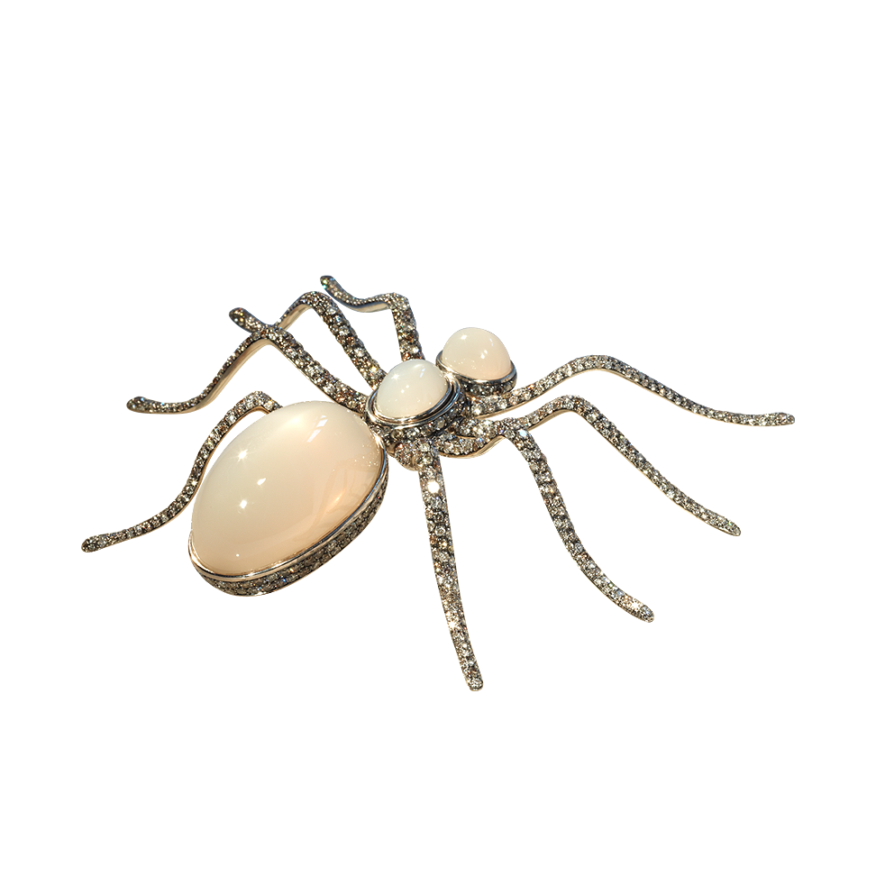 1880/1900 bubble spider charm-germany  Spider jewelry, Jewelry lookbook,  Insect jewelry